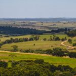Vista aérea de estradas sinuosas entre campos agrícolas e áreas verdes no interior do Brasil