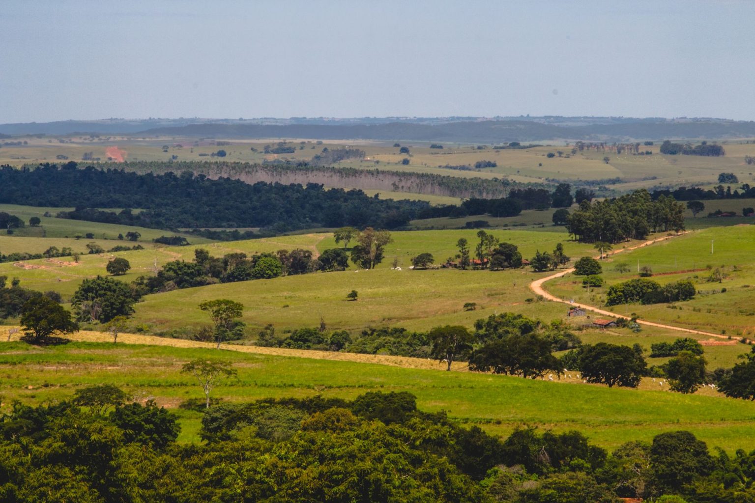 Vista aérea de estradas sinuosas entre campos agrícolas e áreas verdes no interior do Brasil